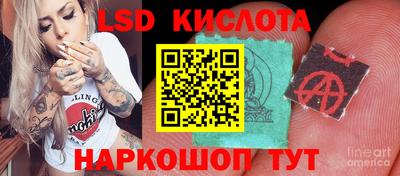 гидропоника Тула