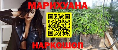 гидропоника Тула