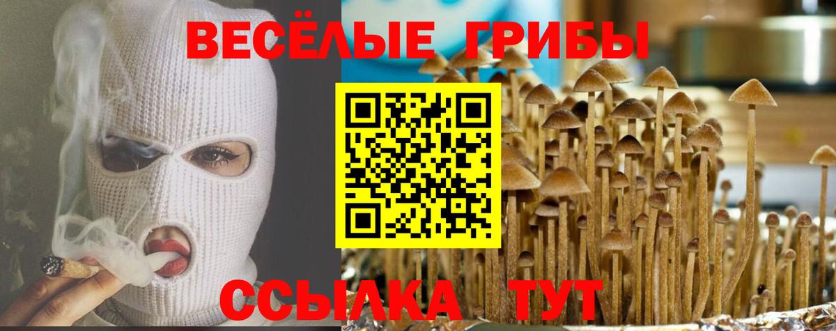 Псилоцибиновые грибы прущие грибы  где купить наркоту  Конаково  Вход с VPN  Псилоцибиновые грибы MAGIC MUSHROOMS 