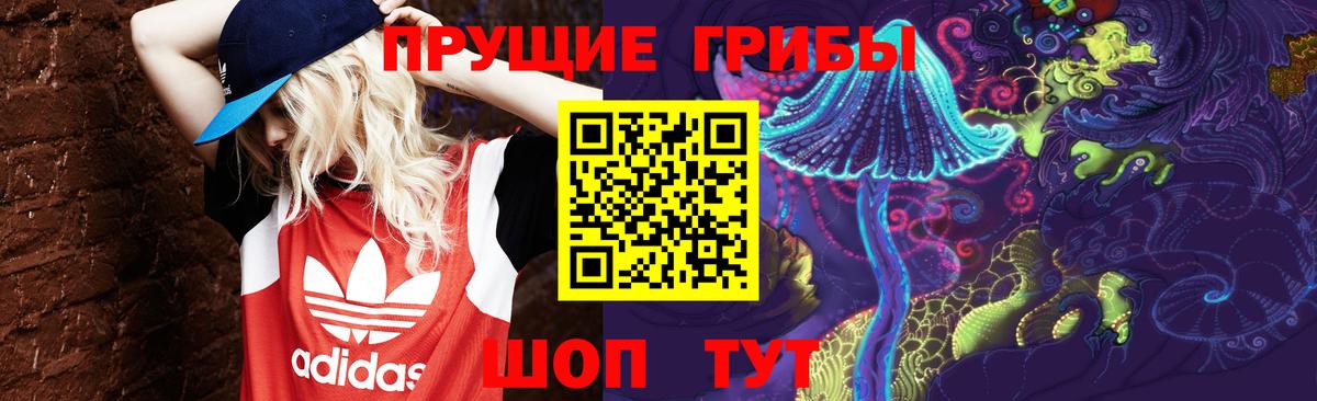 Псилоцибиновые грибы Psilocybine cubensis Конаково